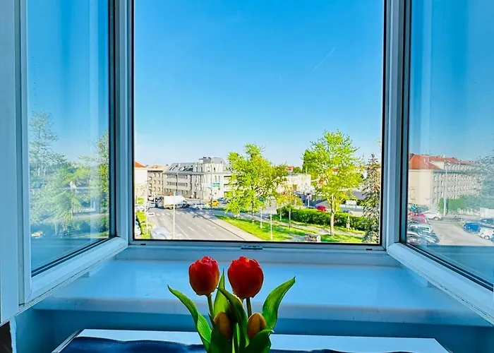 Comfortable Private In 3br Near Kaufpark Alterlaa Διαμέρισμα Βιέννη